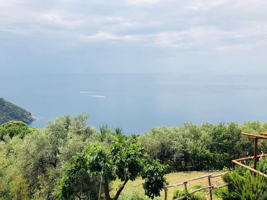 Amazing Flat At The Heart Of 5 Terre National Park Lägenhet Vernazza Exteriör bild