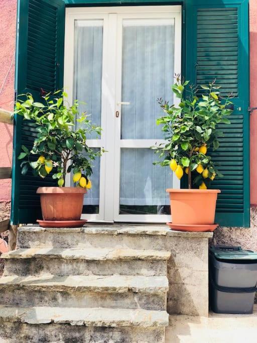 Amazing Flat At The Heart Of 5 Terre National Park Lägenhet Vernazza Exteriör bild